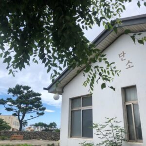 丹素 (Dān sù) (Dan Soo)(단소)