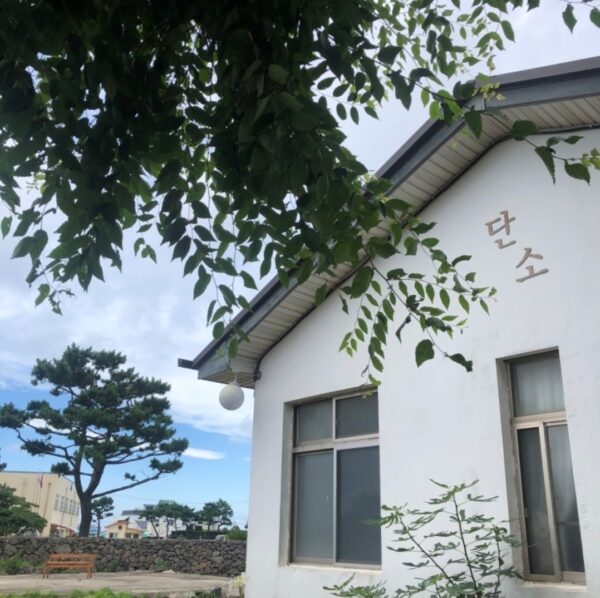 丹素 (Dān sù) (Dan Soo)(단소)