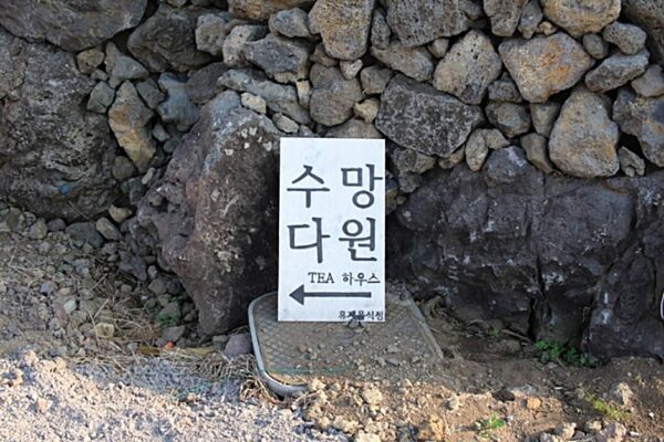 Sumang Daewon (Pine Forest Great Origin)(수망다원)