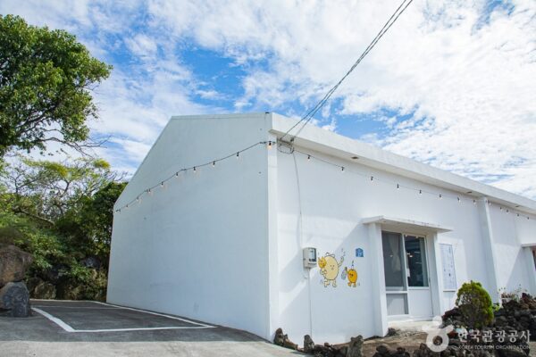 Suldogga Jeju Badang (Drinking Buddy Jeju Field)(술도가 제주바당)