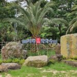 제주순메밀막국수