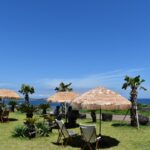 咖啡Lite (咖啡轻).(카페더라이트)