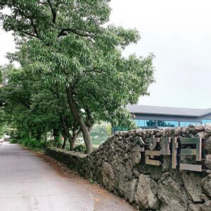 크라운돼지