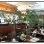 노바이탈리아노