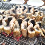 홍가네풍천장어