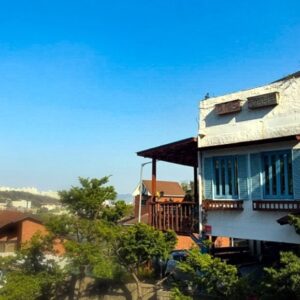 조셉의커피나무